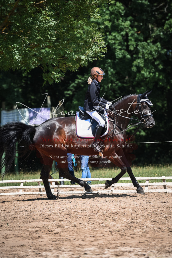 DSC_2806 | Pferde- und Turnierfotografie in Westsachsen. Pferdeportraits, Auftragszeichnungen und intuitive Kunst.
