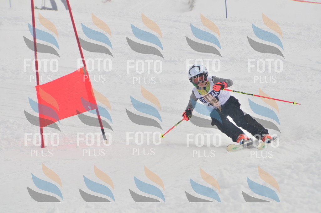 A5363 | holidayphoto