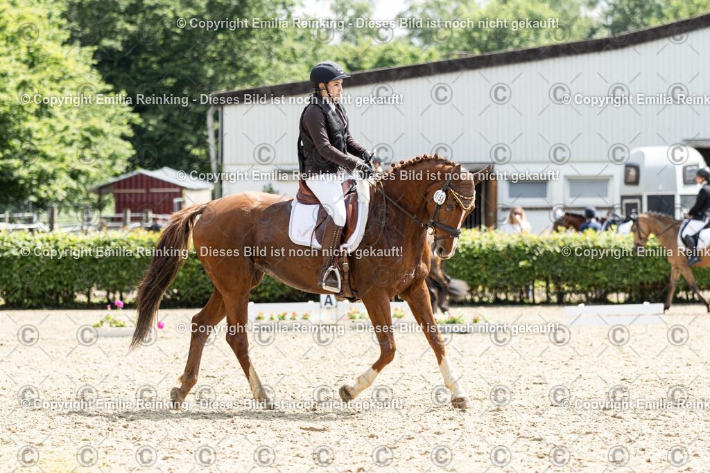 CL5A8024 | Emilia Reinking Fotografie - Realisiert mit Pictrs.com