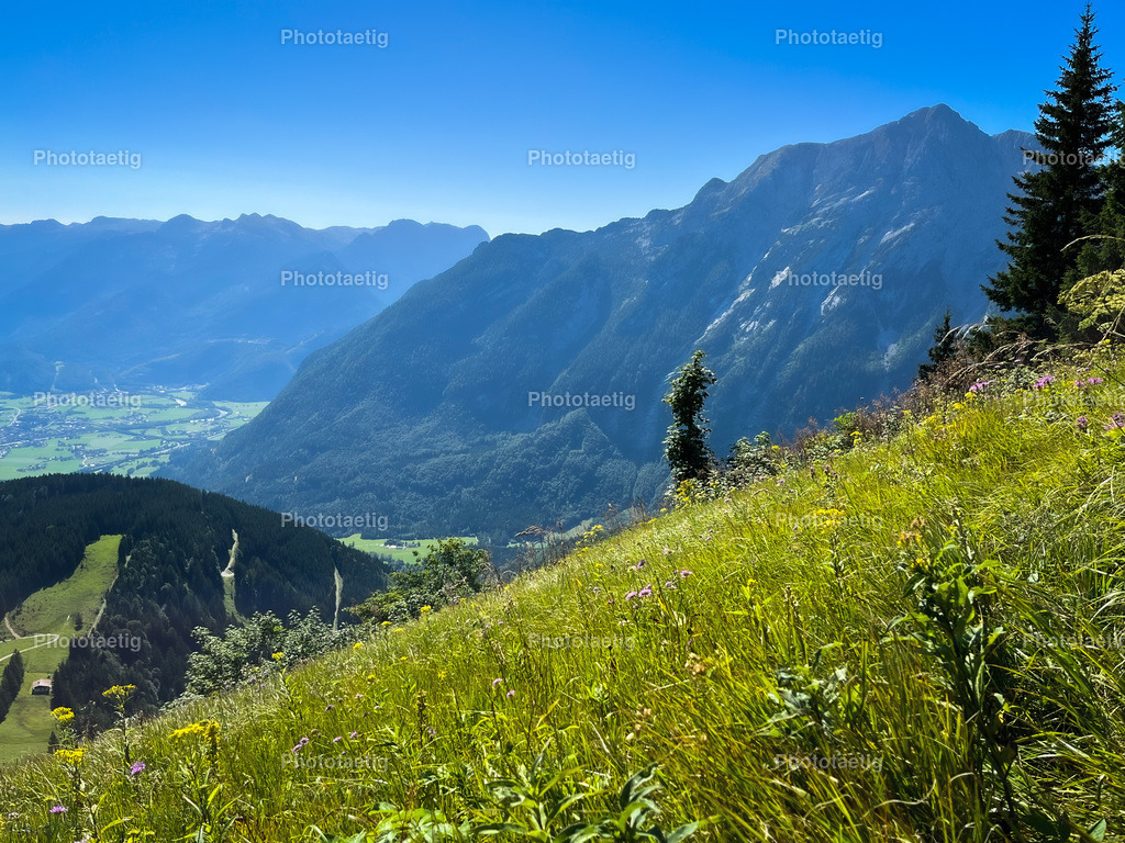 IMG_1985 | phototaetig