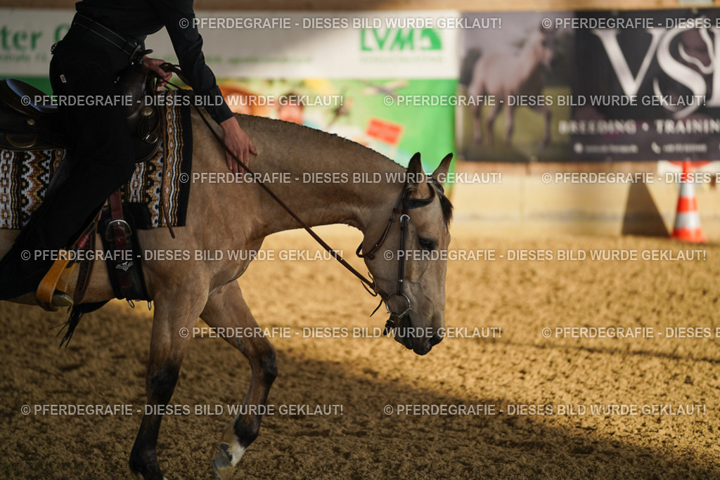 DSC07821 | Pferdegrafie