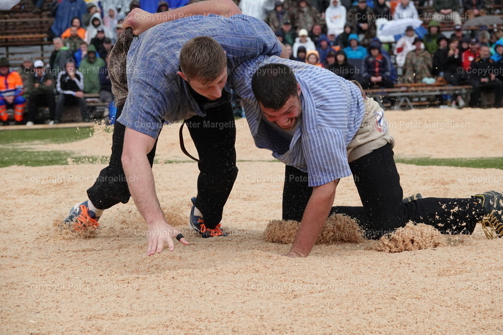 DSC03726 | Schwingen - Realisiert mit Pictrs.com