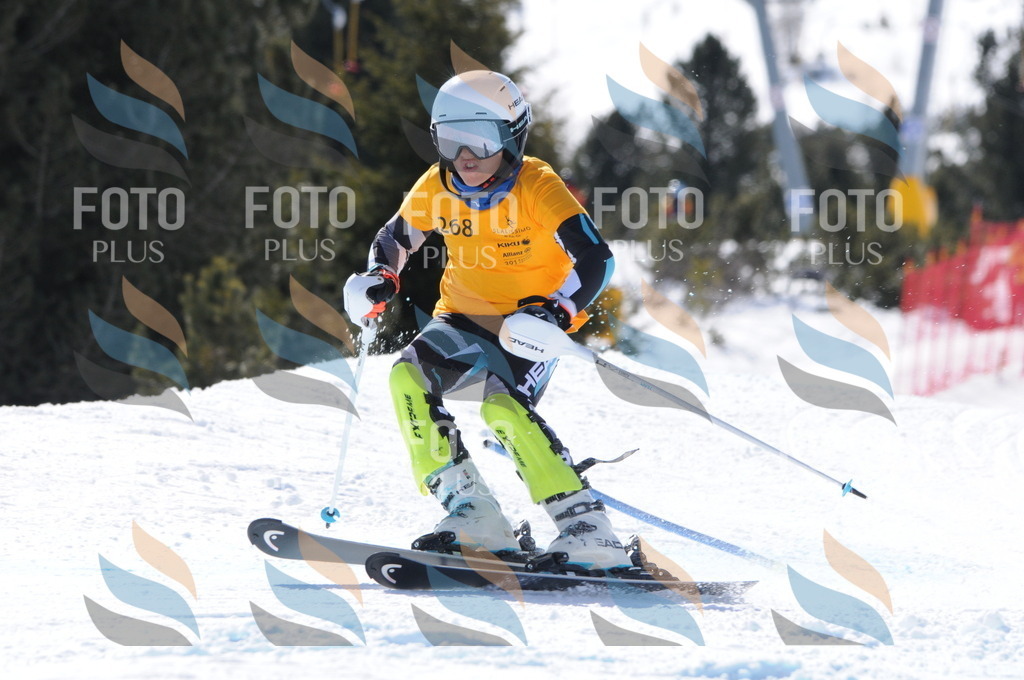 C8964 | holidayphoto