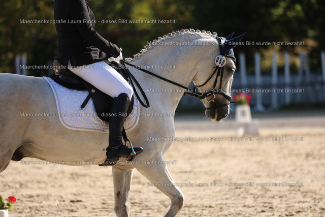 HG9A8588 | laurarinckfotografie - Realisiert mit Pictrs.com