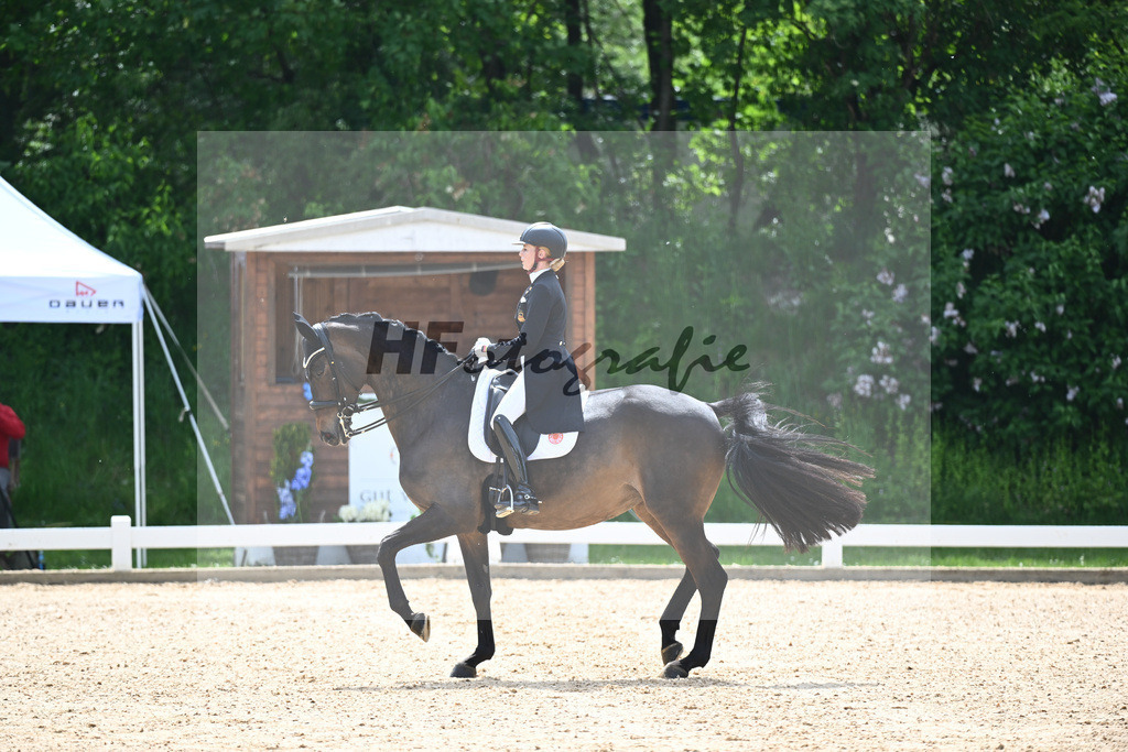 v Bredow-Werndl_TSF Dalera BB_12244414 | hf-fotografie - Realisiert mit Pictrs.com