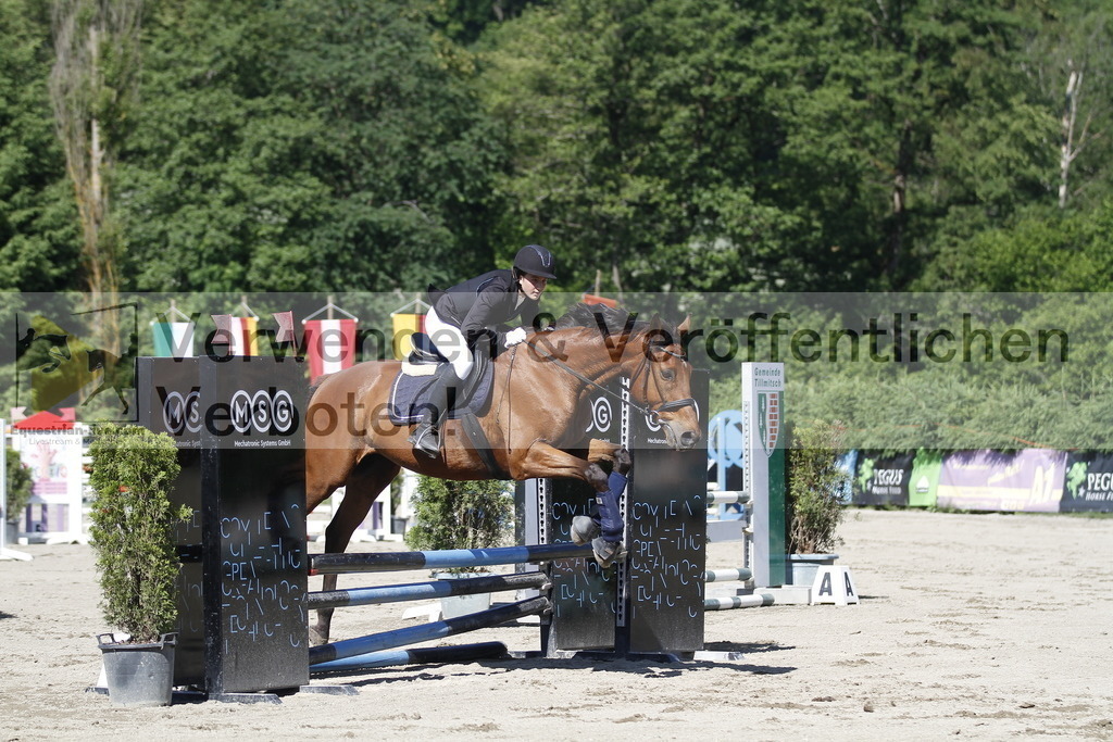 _MG_2582 | equestrian-live-com