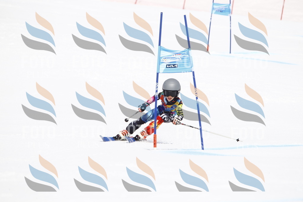 _U3G6095 | holidayphoto