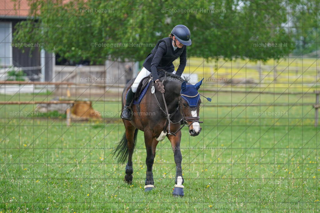 20240509-FAH02126 | Turnierbilder der Turnierfotografen Bayern, Pferdesport Fotografie, Reitsportbilder, Turnier Landberg am Lech, Turnierbilder bayern, Fotoagentur Herrmann