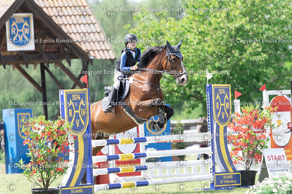 CL5A3256 | Emilia Reinking Fotografie - Realisiert mit Pictrs.com