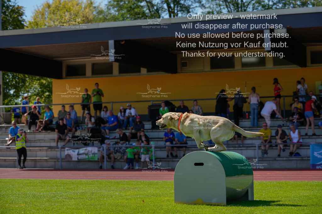 Sonntag_VK Hindernis (637 von 671) | stephaniefillaphotographie - Realisiert mit Pictrs.com