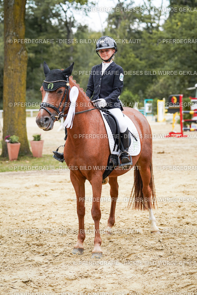 DSC06110 | Pferdegrafie