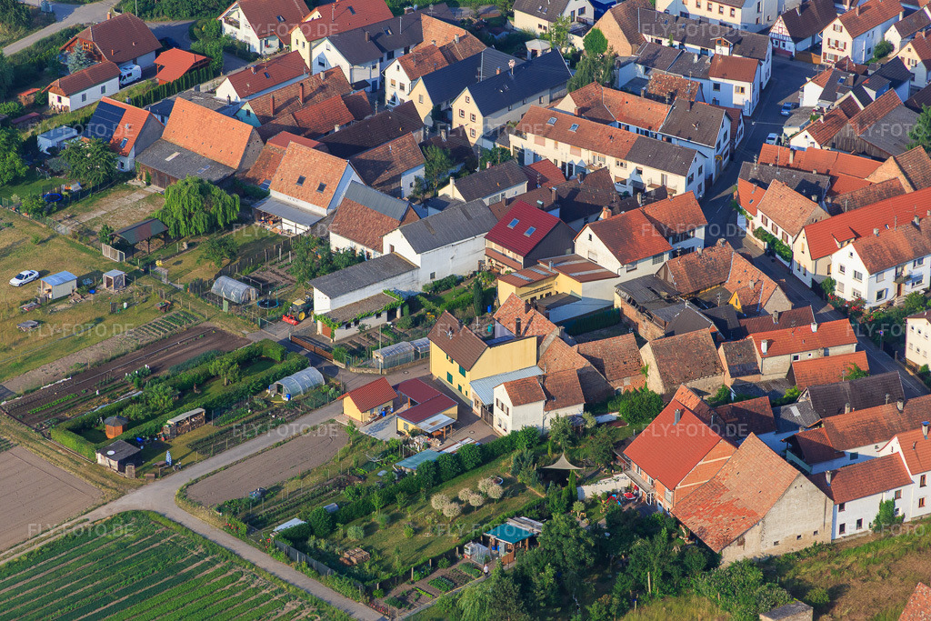 Luftbild: Häckgasse in Zeiskam im Bundesland Rheinland-Pfalz in Deutschland. Foto: IMG_080631.jpg vom 12.06.2015 durch Werner Riehm/FLY-FOTO.de