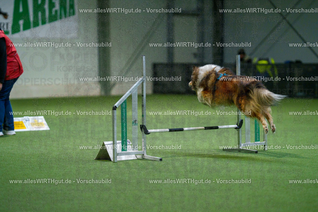 7R500463 | Professionelle Tierfotografie in Mönchengladbach von Daniel Wirth (allesWIRTHgut). Liebevolle & natürliche Bilder von Hunden & Katzen für unvergessliche Erinnerungen.