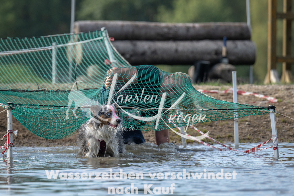 1256_ZZ94219 | kk-dogfotos