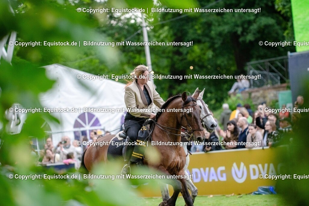 TS_20250606_Lange-Pferdenacht_0570 | Foto: Thomas Hartig