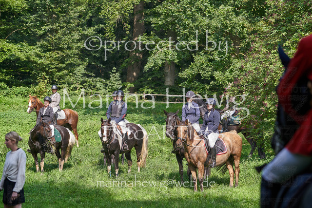 09-23 Jagd Perdöl_MCH0393_Marina Hewig | Fotografie, FotoArt, PferdesportArt, Pferdesportfotografie, Landschaftsfotografie, Reisefotografie, Reise, Pferde - Realisiert mit Pictrs.com