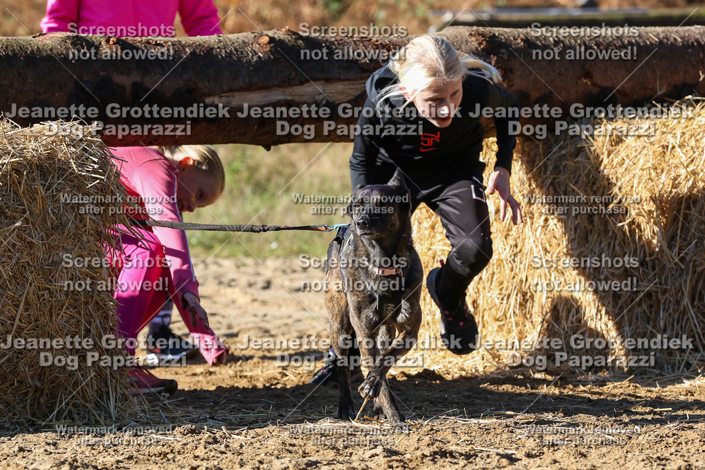 Dog Paparazzi - Strongdog 10-25-2111 | Dog Paparazzi Jeanette Grottendiek Fotografie & Videografie - Realisiert mit Pictrs.com