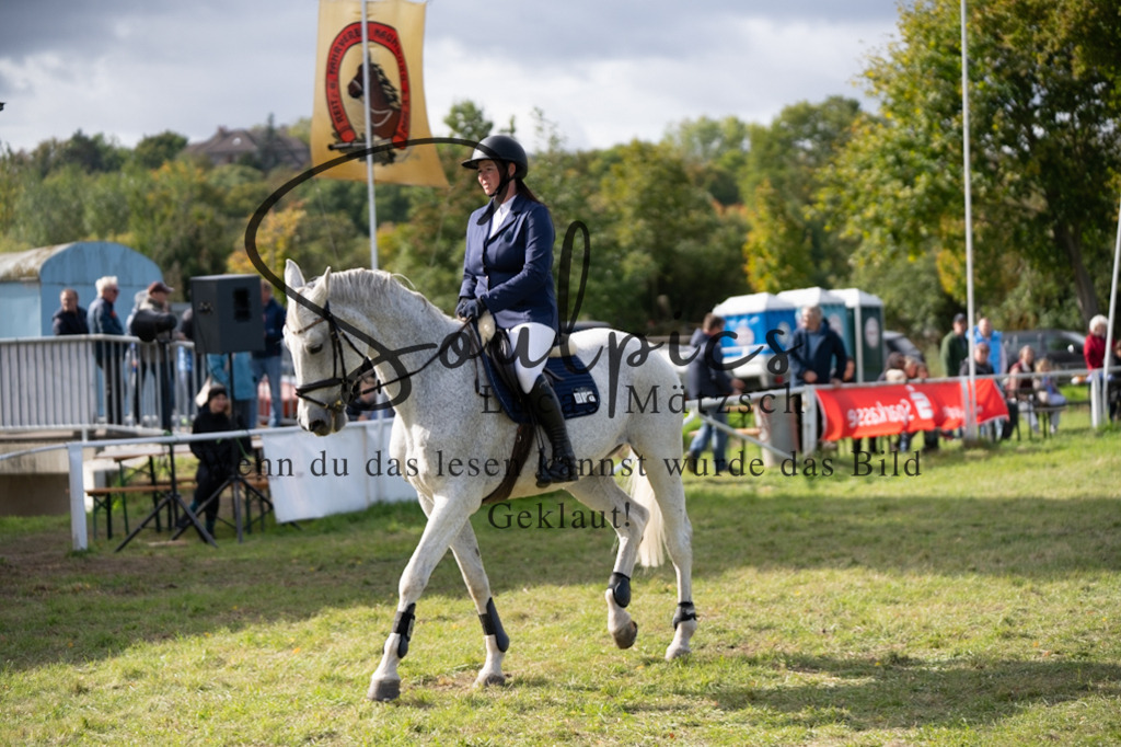 A7V06849 | Pferdefotograf