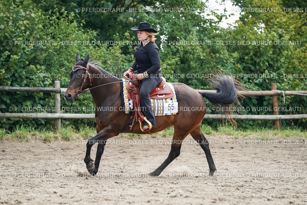 DSC04584 | Pferdegrafie