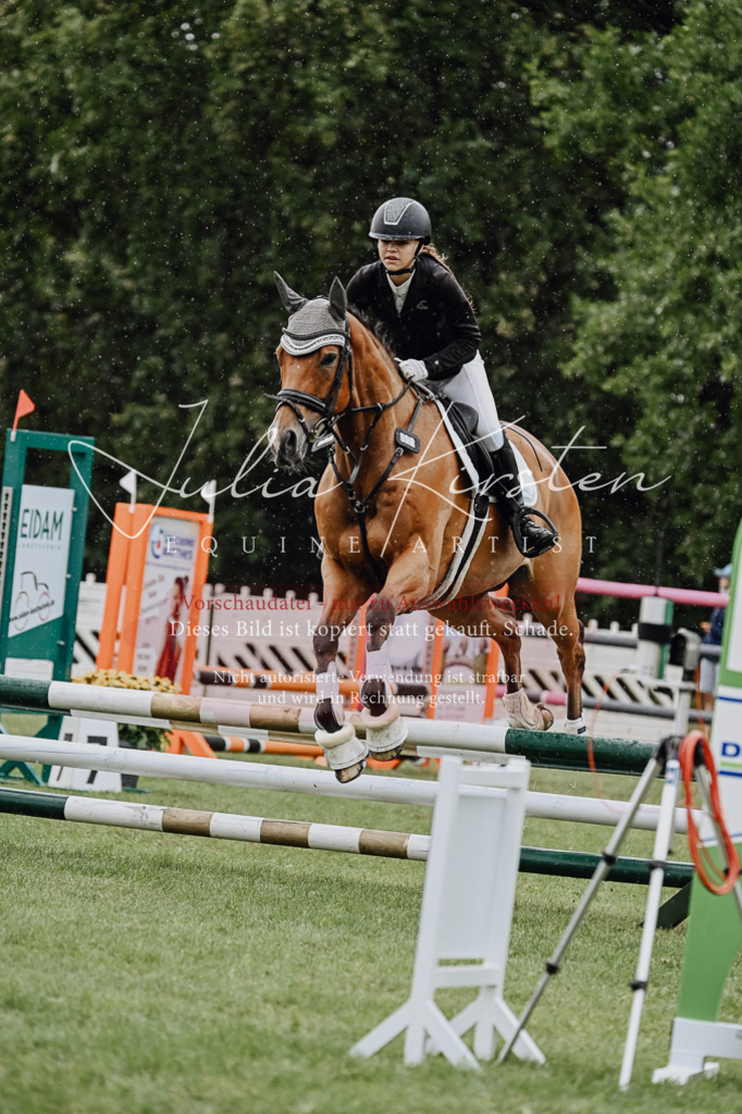 DSC_6947 | Pferde- und Turnierfotografie in Westsachsen. Pferdeportraits, Auftragszeichnungen und intuitive Kunst.