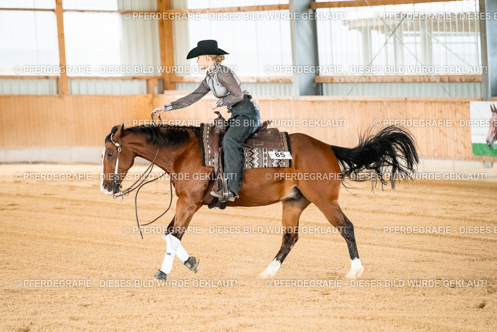 DSC02799 | Pferdegrafie