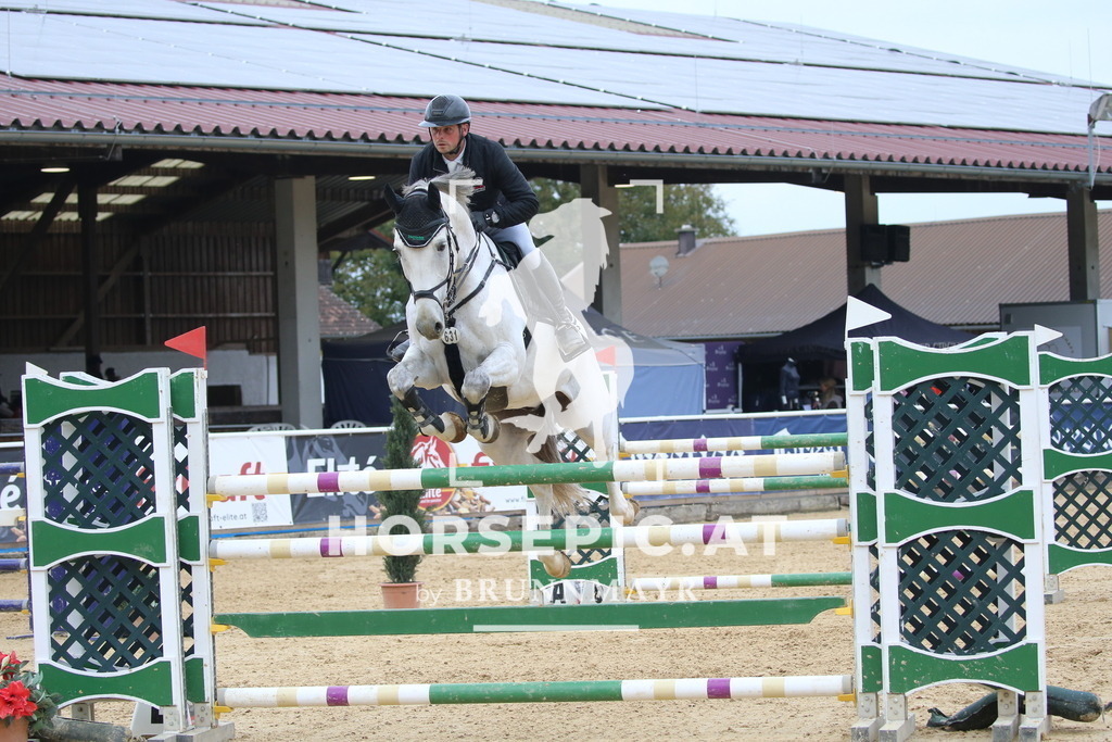 DL2Q3097 | Willkommen bei Brunnmayr - Design & Fotografie – Ihrem Spezialisten für Reitturniere und Pferdeveranstaltungen in Oberösterreich, Salzburg und Bayern! Seit über 17 Jahren sind wir leidenschaftlich dabei.