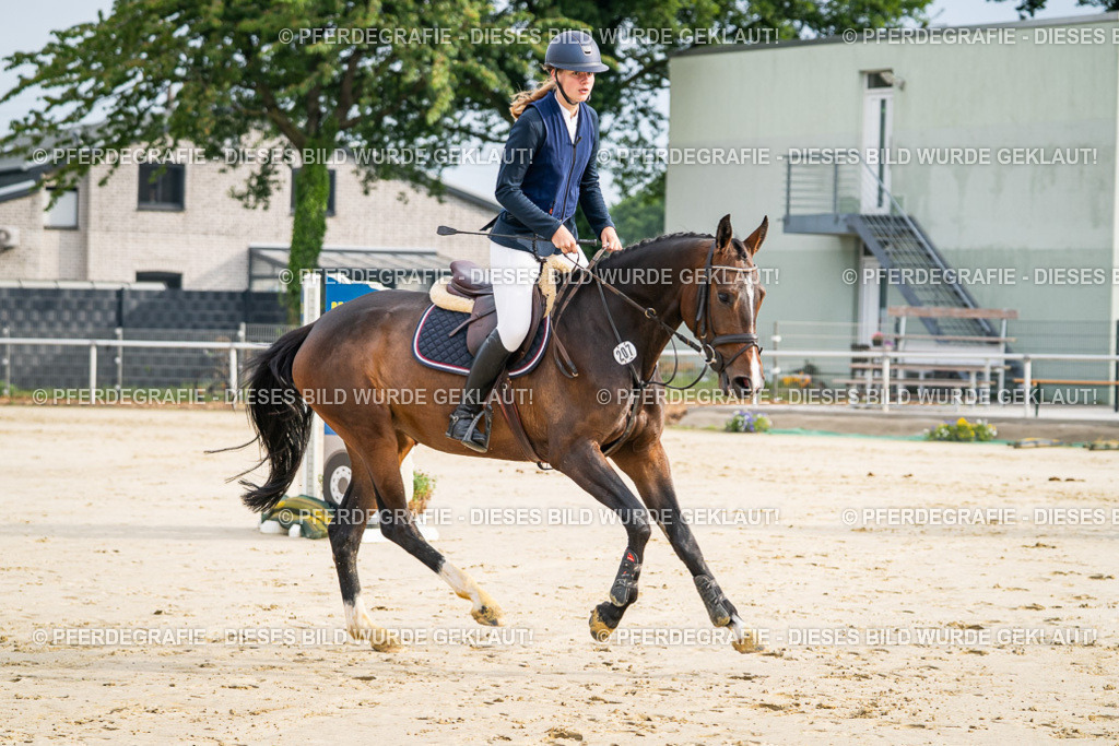 DSC08291 | Pferdegrafie