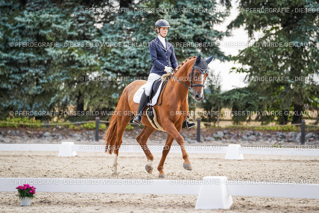 DSC00589 | Pferdegrafie