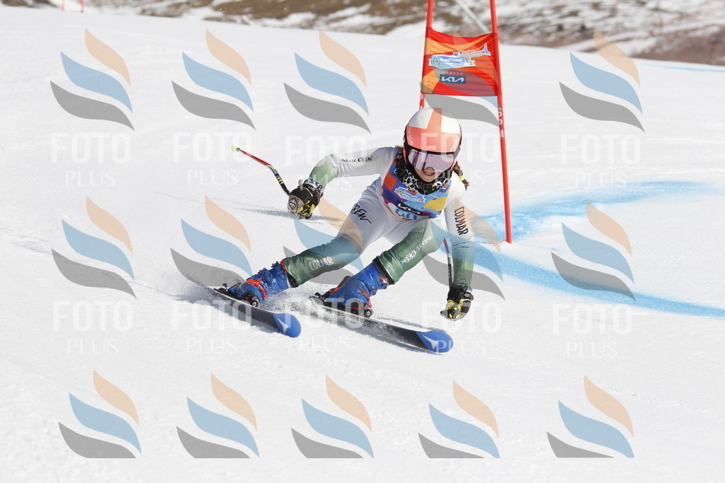 _U3G0161 | holidayphoto