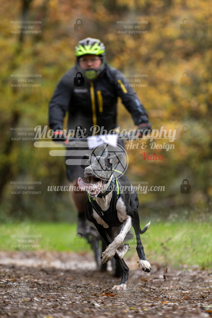 MompixPhotography_Bischwiller23_Bike-33 | PayLife