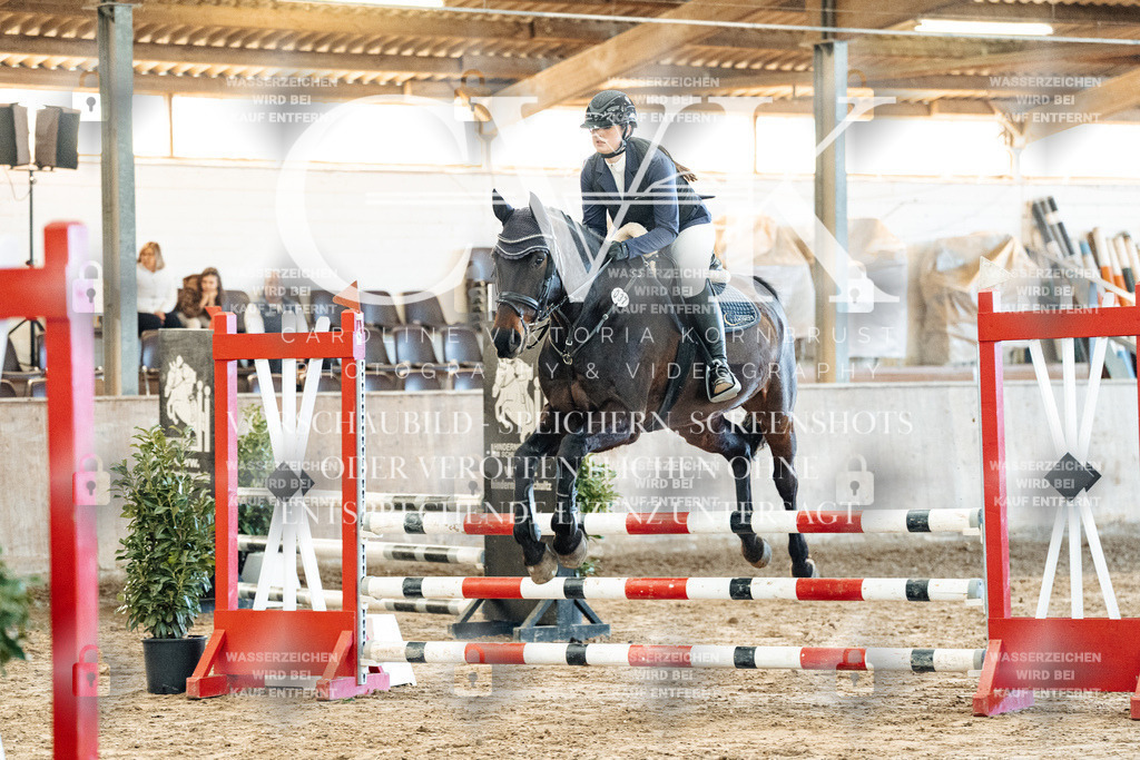 CK904263 | Turnierfotografie Pferdefotografie Trier Rheinland-Pfalz Pferdesport Reitsport Tierfotografie Sportfotografie Pferdevideo Pferdevideografie Equestrianvideography equestrianphotography  - Realisiert mit Pictrs.com