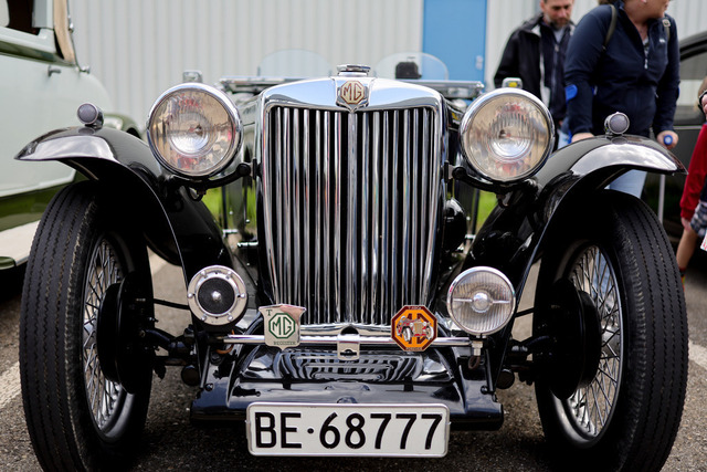 Calag_Oldtimer2025-52 | Ich fotografiere Hundeausstellungen, Sportanlässe, Zuchtstätten, Hundezucht, Hundeportrait, Lagotto - Realisiert mit Pictrs.com