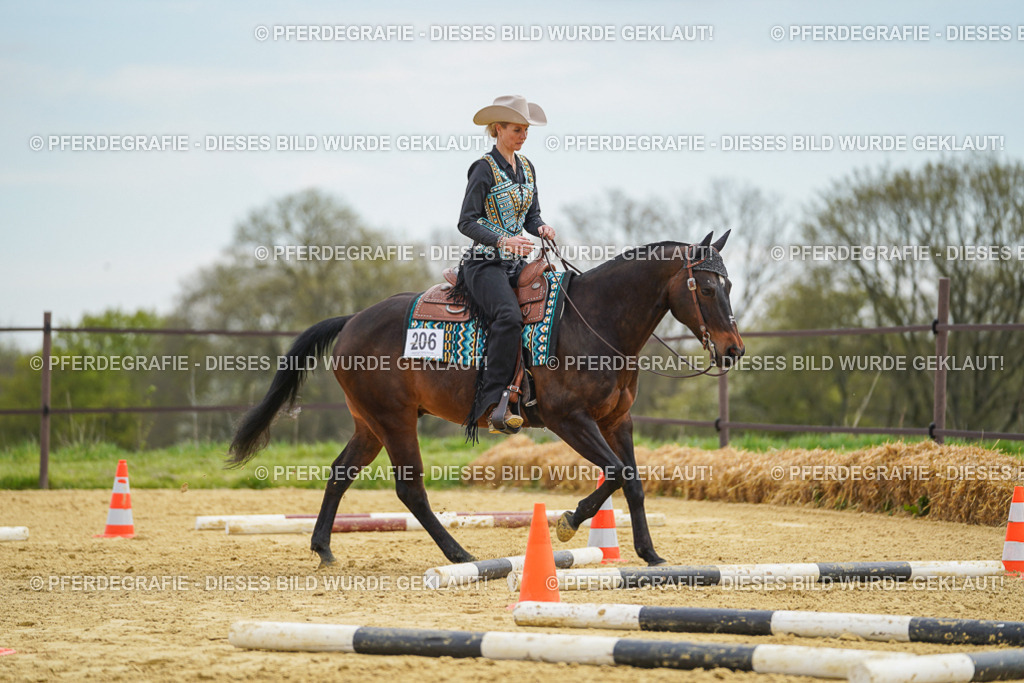 DSC03182 | Pferdegrafie