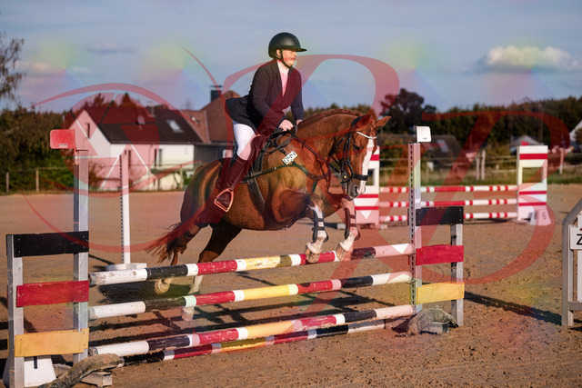 2026_10_03_Siefer-Hof_171707_Z81_14759099 | Professionelle Reitsport-, Turnier- und Eventfotografie von Robert Broda. Galerien mit ausgewählten und bearbeiteten Bildern direkt online ansehen und bestellen.