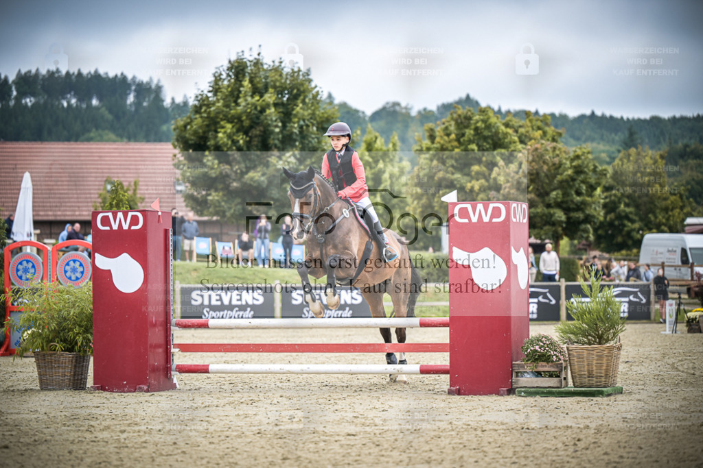 DOS_0246 | Entdecke hochwertige Reitturnierfotos von Foto Oger. Professionell, emotional und authentisch – jetzt Lieblingsmomente im Shop bestellen. - Realisiert mit Pictrs.com