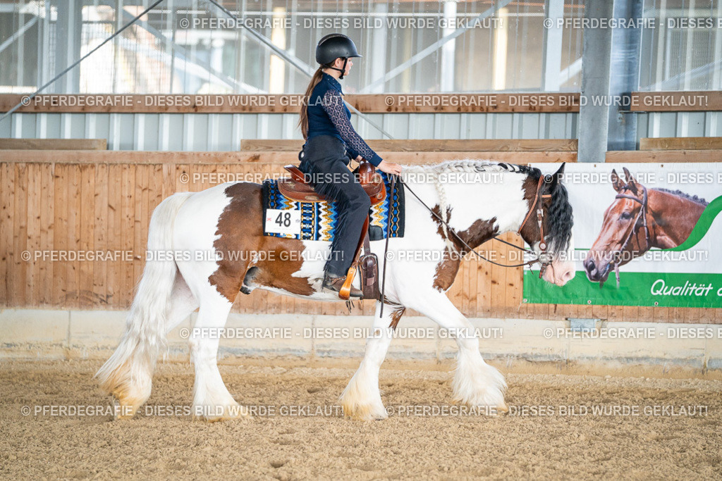 DSC08131 | Pferdegrafie