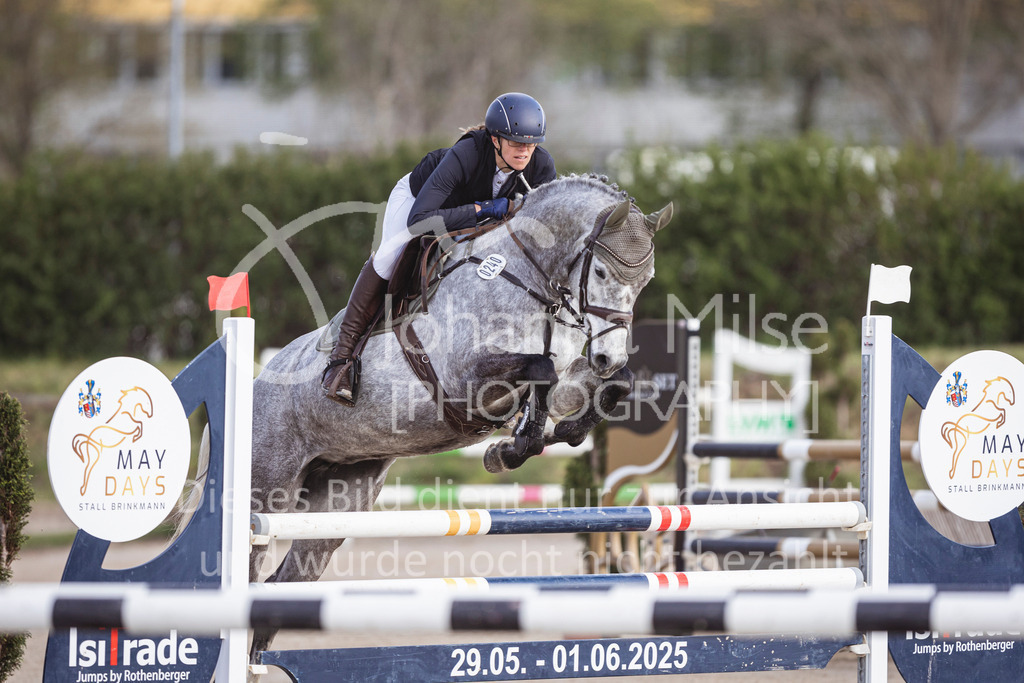 250419_Frühlingsfest_Springpf-L-305 | Deine schönsten Turniermomente als professionelle Fotos! Entdecke hochwertige Pferdesport-Fotografie im Online-Shop. Jetzt Fotos finden & bestellen!