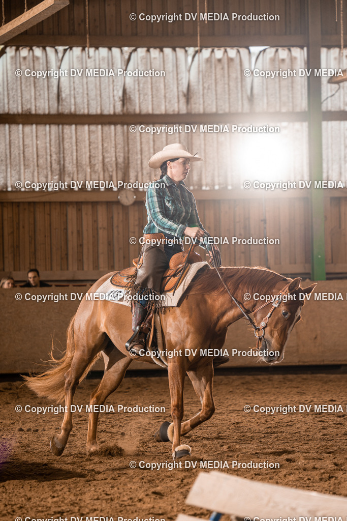 BAL00921 | dv-media-shop - Realisiert mit Pictrs.com