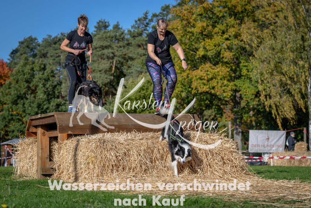 1055_ZZ92077 | kk-dogfotos