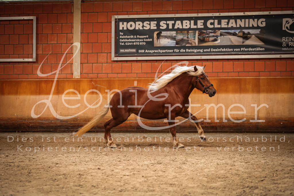 SaFL00498 | Leoni Ertmer Photography - Realisiert mit Pictrs.com