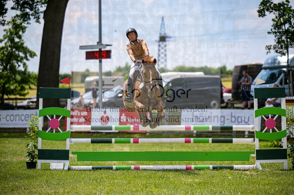 Reitturnier Voxtrup | Entdecke hochwertige Reitturnierfotos von Foto Oger. Professionell, emotional und authentisch – jetzt Lieblingsmomente im Shop bestellen.Deutschlandweite Turnierfotografie. - Realisiert mit Pictrs.com