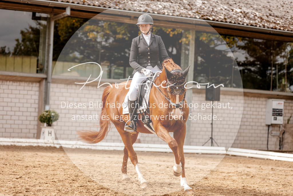 3I6A7446 | Stimmungsvolle Portraits und Reitsportfotografie im Ruhrgebiet und im Münsterland.

Pferdefotografie, Hundefotografie, Tierfotografie, Reportagen, Portraits von Tier und Mensch, Turnierfotografie in Bochum, Recklinghausen, Marl, Haltern am See, Dülmen.. - Realisiert mit Pictrs.com