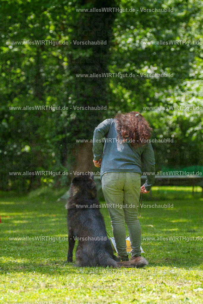@allesWIRTHgut_Tierfotografie - www.allesWIRTHgut.de - 7R504689 | Professionelle Tierfotografie in Mönchengladbach von Daniel Wirth (allesWIRTHgut). Liebevolle & natürliche Bilder von Hunden & Katzen für unvergessliche Erinnerungen.