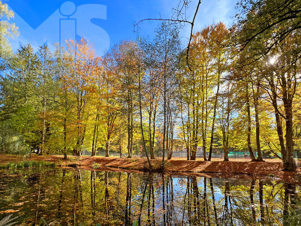 mis310719RF02.JPG | 18.10.2022, Bad Wörishofen im Unterallgäu,  Das Laub der Bäume im Kurpark am kleinen See neben dem Tennisplatz färbt sich herbstlich und die Sonne taucht die Szenerie in goldenes Licht, alles spiegelt sich nochmal auf der Wasseroberfläche. - Realisiert mit Pictrs.com