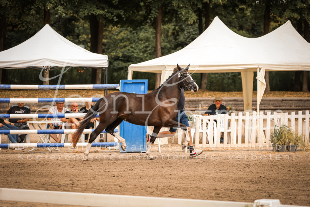 10.-12.Elite00049 | Leoni Ertmer Photography - Realisiert mit Pictrs.com