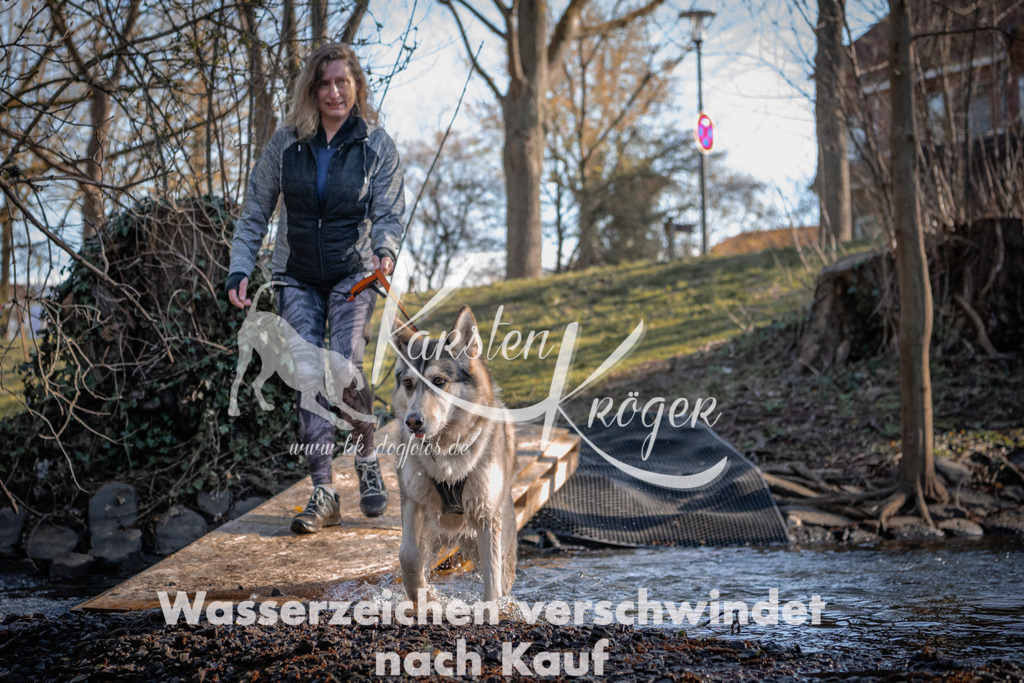 0815_ZZ90256 | kk-dogfotos