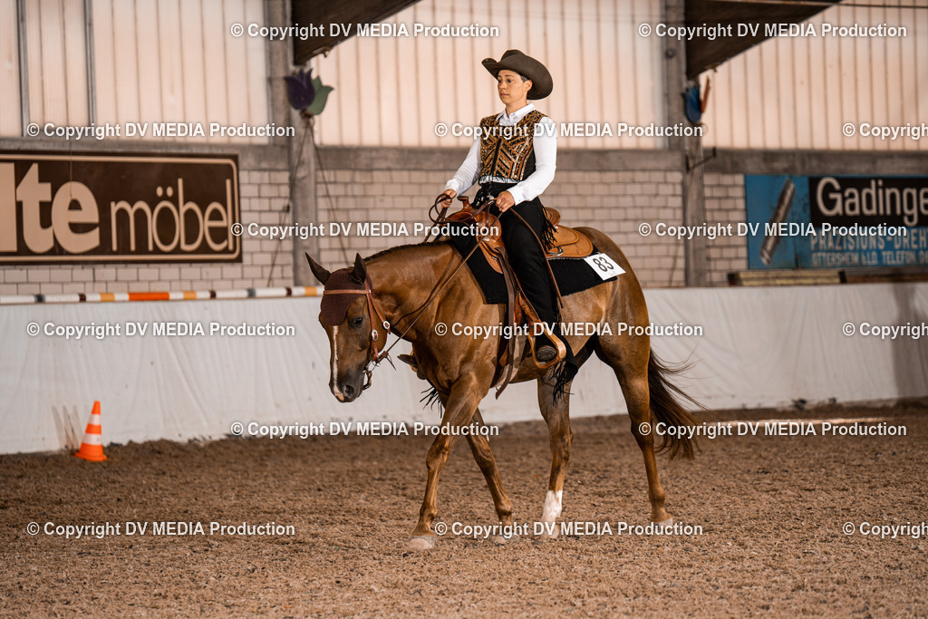 ZH100203 | dv-media-shop - Realisiert mit Pictrs.com