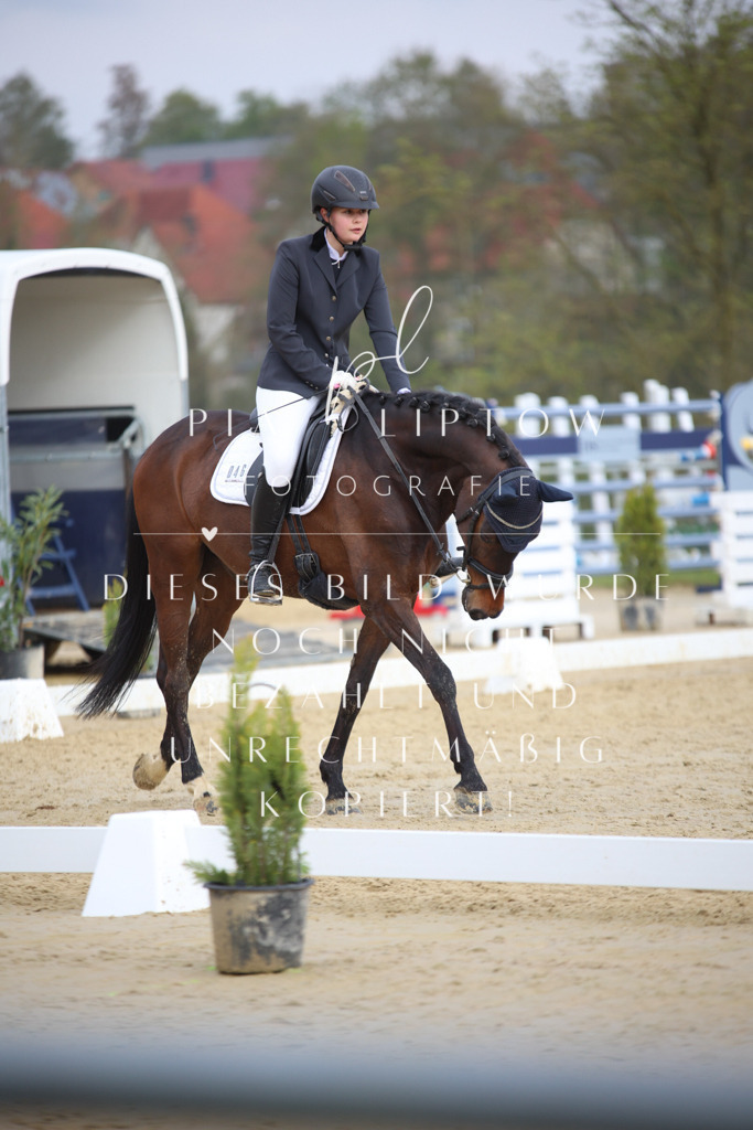 IMGT7278 | pl-fotografie