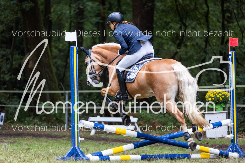 HB-JaD-003 | MomenTaufnahmen Pferdesportfotos