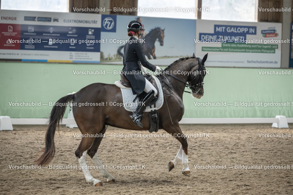 _D5A5013 | Emotionale Pferde- & People-Fotografie rund um Heidelberg, Leimen & Umgebung. Natürliche Fotos von Pferd, Mensch & Familie. Jetzt Termin sichern!